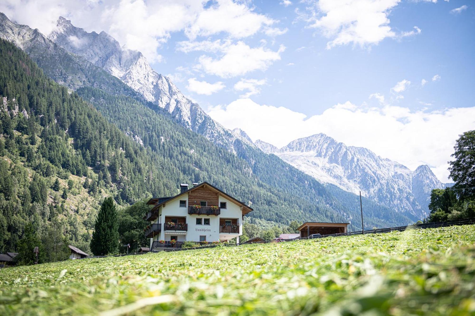 Apartments Nature Apis Landheim Anterselva di Mezzo Dış mekan fotoğraf