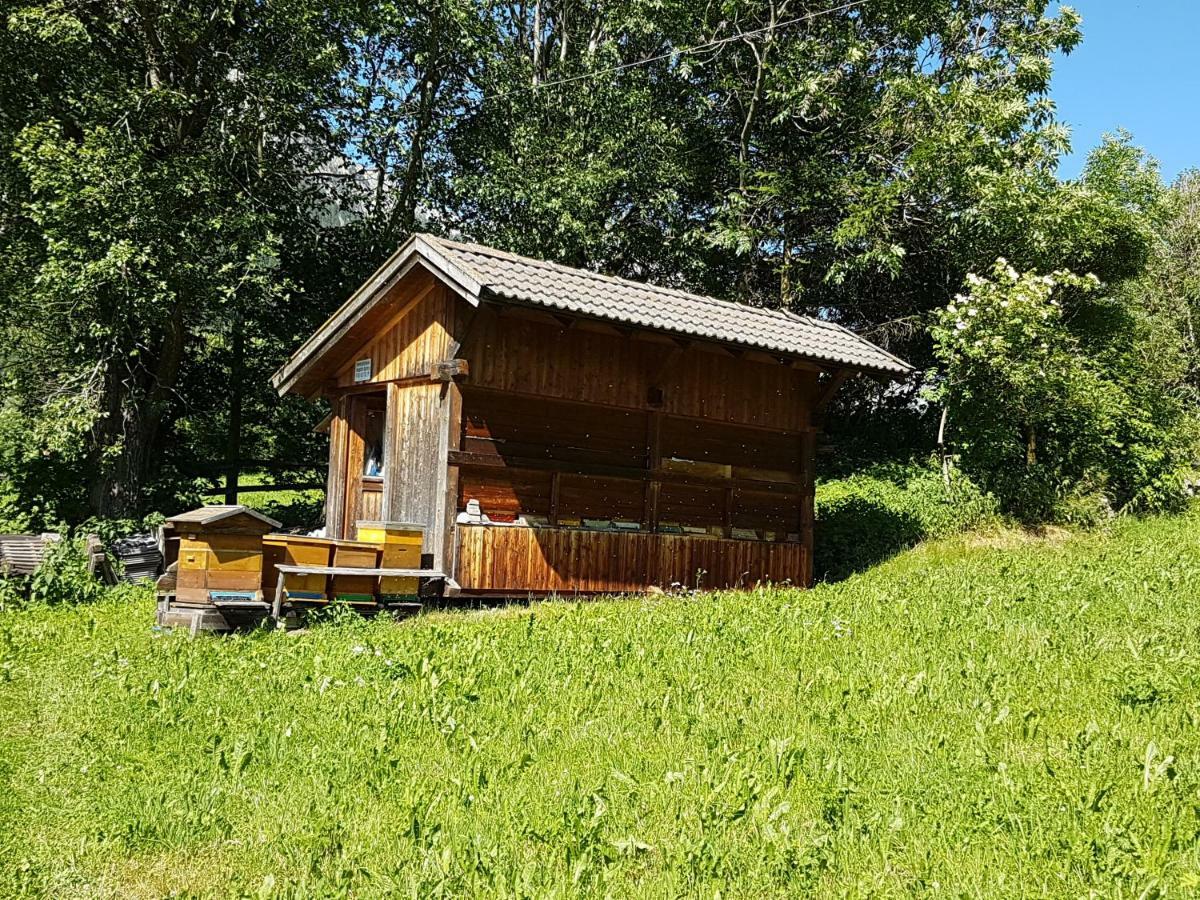 Apartments Nature Apis Landheim Anterselva di Mezzo Dış mekan fotoğraf